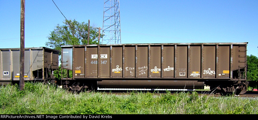 FLCX 448147